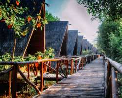 The forest provides an opportunity for camping in the area for the adventure lover. It would be a great experience to sit across a bonfire in a cool a